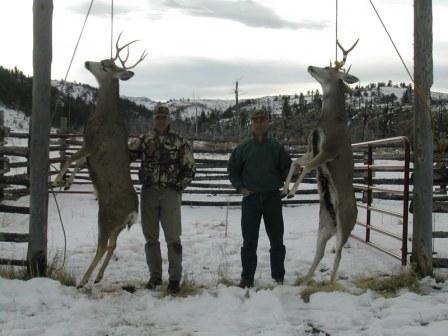 wilderness elk hunting in colorado